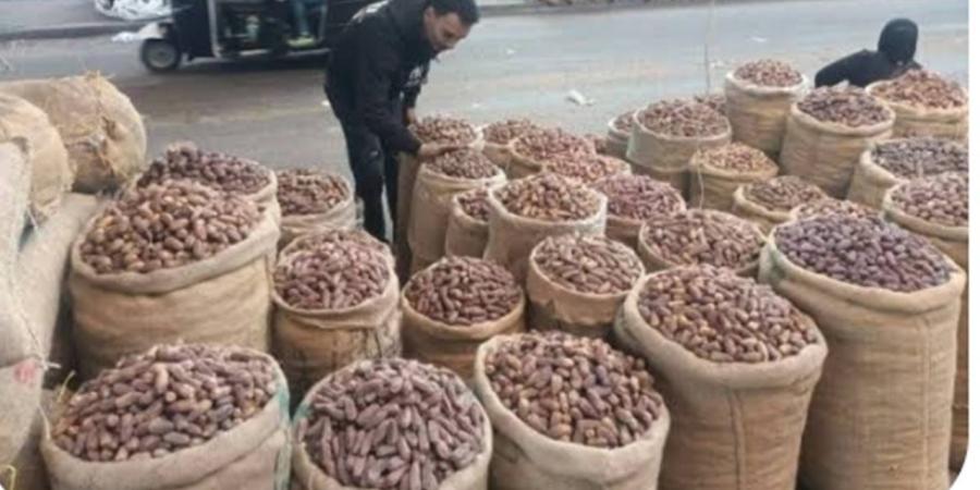 أسعار البلح والتمور في أسواق الوادي الجديد اليوم الخميس