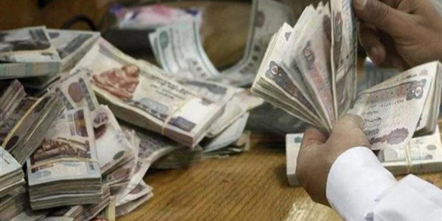 كل ما تريد معرفته عن شهادات البنك الأهلي وبنك مصر الجديدة