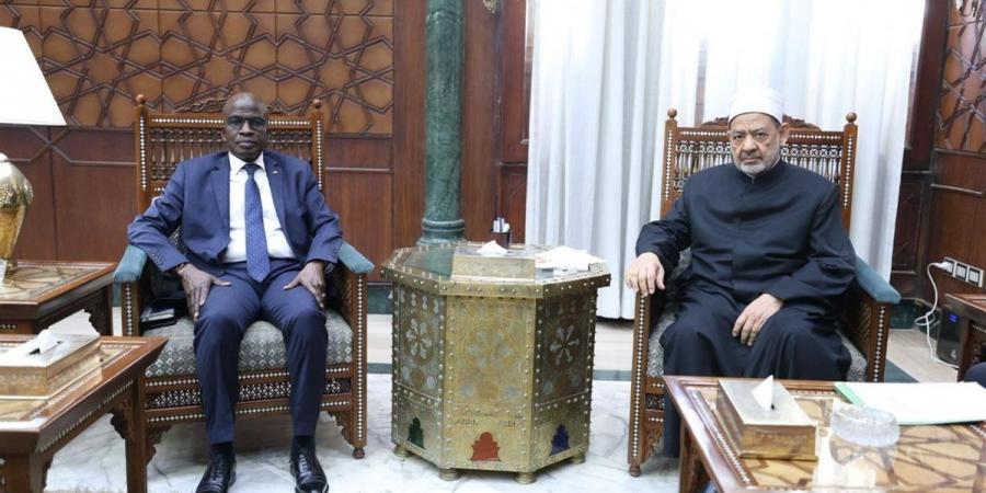 الإمام الأكبر يستقبل سفير مالي ويؤكد استعداد الأزهر لزيادة المنح الدراسية