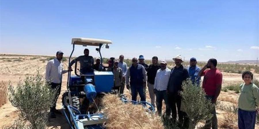 وزير الزراعة يستعرض حصاد عام من "جهود التنمية الزراعية" في سيناء
