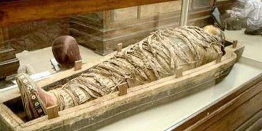 نص أدبي يوناني داخل أحشاء "مومياء مصرية" يثير حيرة العلماء