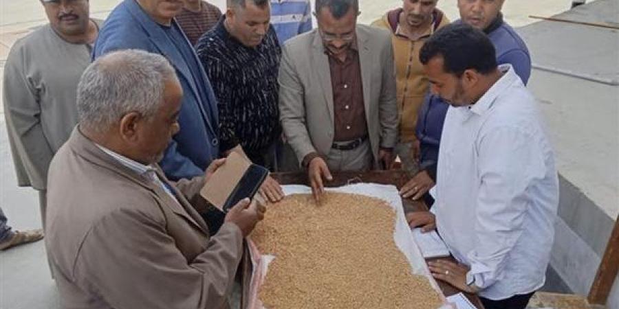 شون وصوامع المنيا تستقبل 32 ألف طن من القمح
