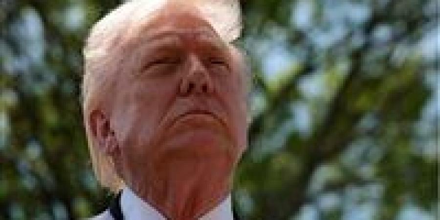 تفاصيل 24 ساعة من الجنون الرئاسي.. نوبات نعاس ترامب ومشاريع زرقاء تصدم الجميع