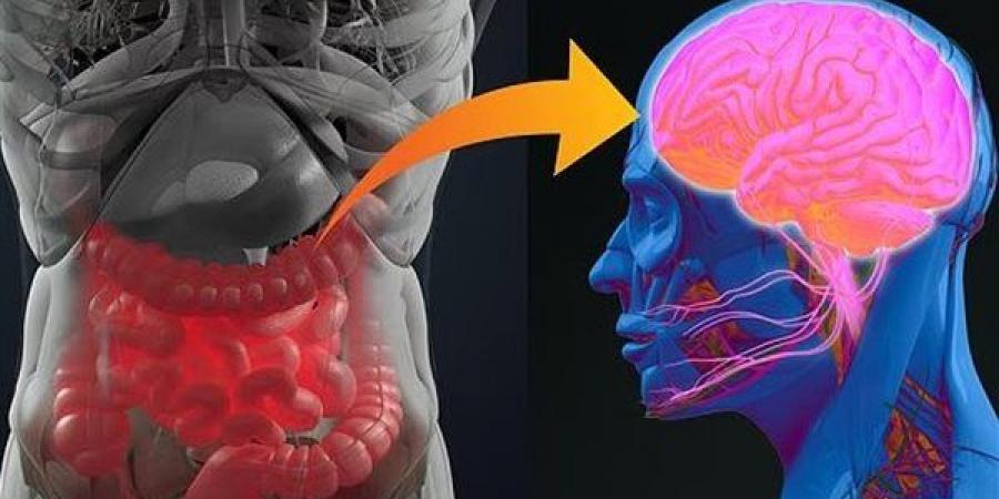 قبل سنوات من ظهور الأعراض.. طريقة جديدة للتنبؤ بخطر الإصابة بالخرف والتصلب المتعدد