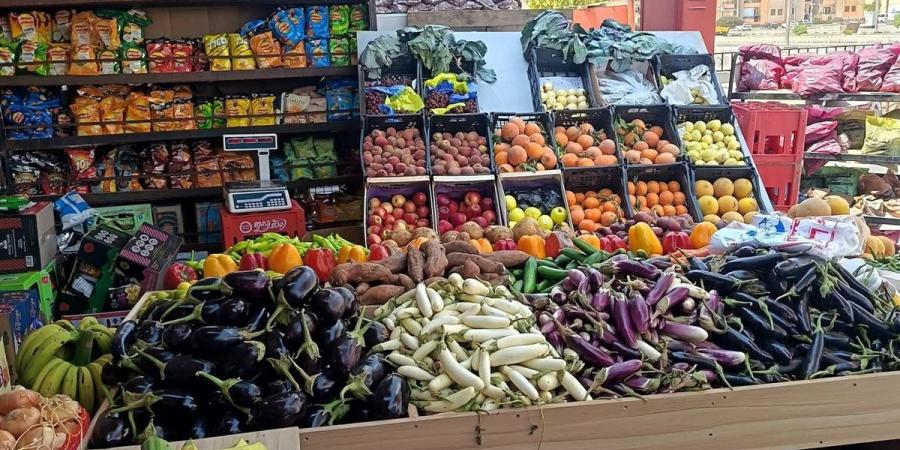 إرتفاع أسعار الخضروات والفاكهة بأسواق الفيوم