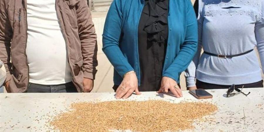 توريد 5120 طن قمح لمواقع التخزين والصوامع بالدقهلية