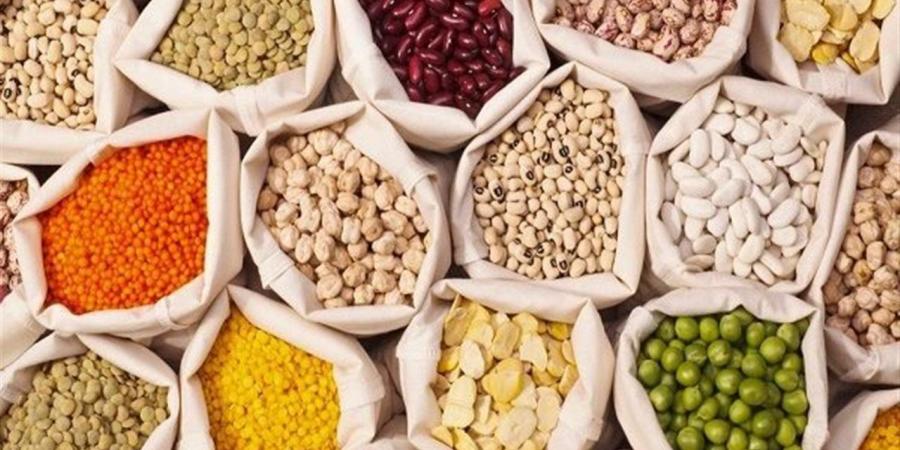 أسعار البقوليات في أسواق البحر الأحمر الجمعة 24 أبريل 2026