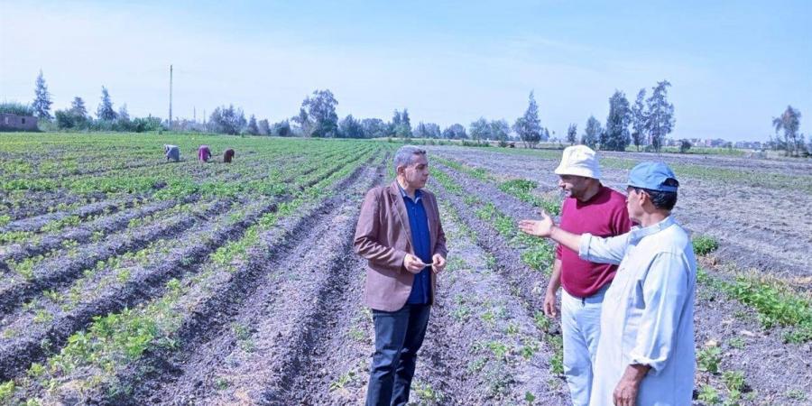 وكيل زراعة كفرالشيخ يتفقد حقول القمح ويوجه المزارعين بالتوريد للشون والصوامع