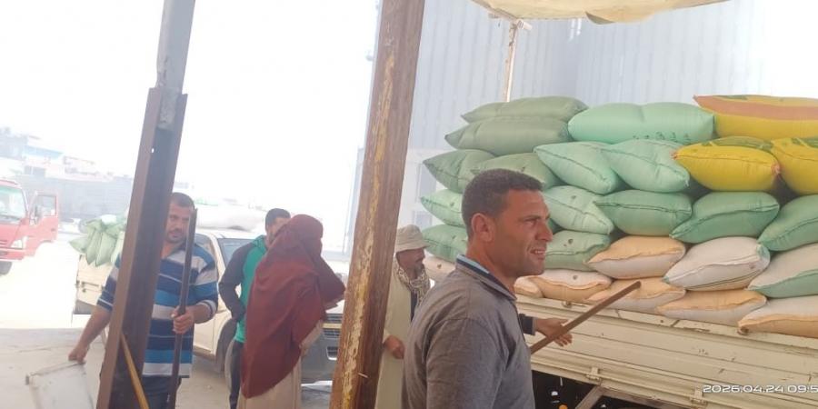 تموين كفرالشيخ: توريد 3989 طن قمح منذ بداية الموسم عبر 25 موقعًا