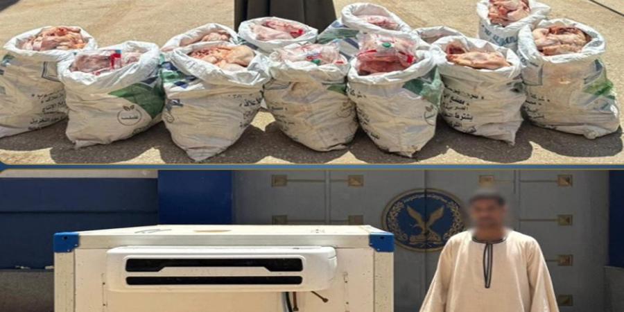 ثبتوه بالسلاح.. سقوط عصابة السطو المسلح على سيارة محملة بدواجن مجمدة في قنا