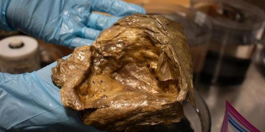 بعد عامين من الغموض.. علماء يفكون لغز "الكرة الذهبية" في قاع المحيط