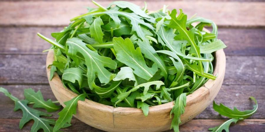 فوائد وضع الجرجير في الثلاجة| حافظي على فوائده