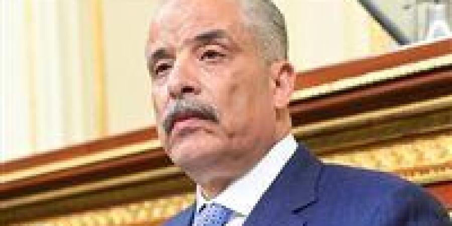 معاشات غير مضمونة ورعاية تتوقف عند 18 عامًا.. تضامن النواب تناقش طلب إحاطة للنائب عيد حماد حول ملف “الأسر البديلة”