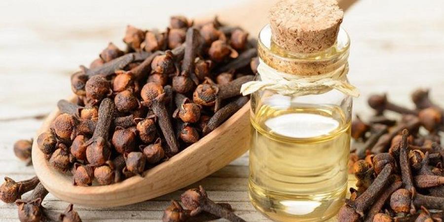 هل تناول القرنفل على الريق مفيد لصحة الجسم؟