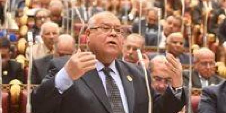 الشهابي لتحيا مصر: مقترحات تعديل قانون الأحوال الشخصية محطة تشريعية بالغة الأهمية