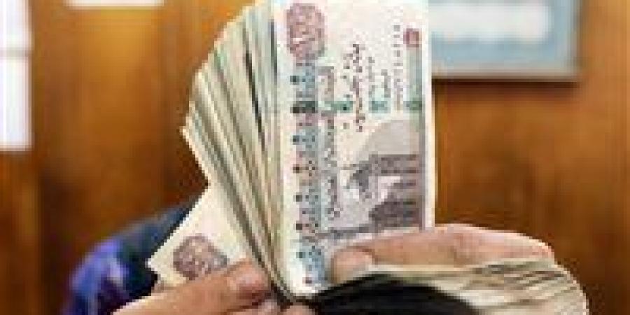 عوامل الجذب الادخاري.. لماذا تتجه البنوك لرفع العائد على الشهادات في الوقت الراهن؟