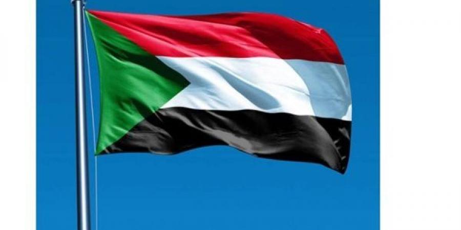 سياسي: شبكة إقليمية تقود "الدعم السريع" وتورط أوكراني يثير القلق