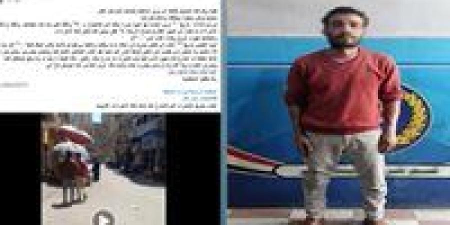 ضبط المتهم بالتعدي على شقيقه أمام المارة في الداقهلية