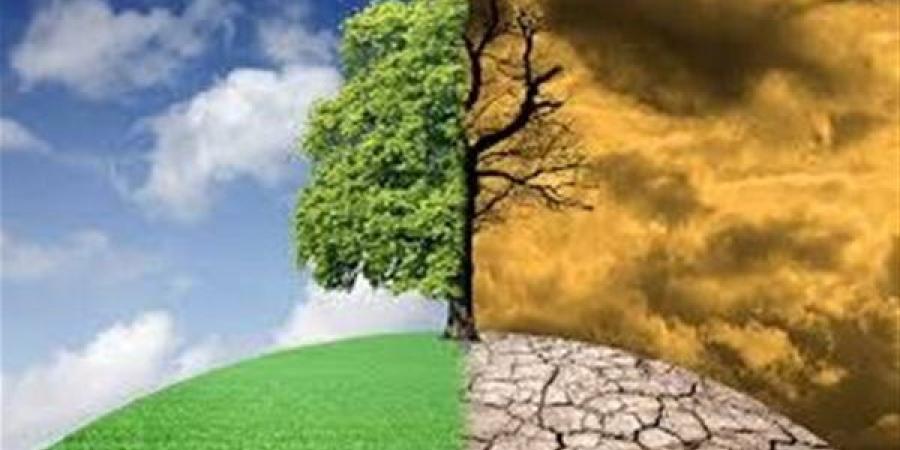 الزراعة الذكية في مصر.. كيف نواجه آثار التغير المناخي؟