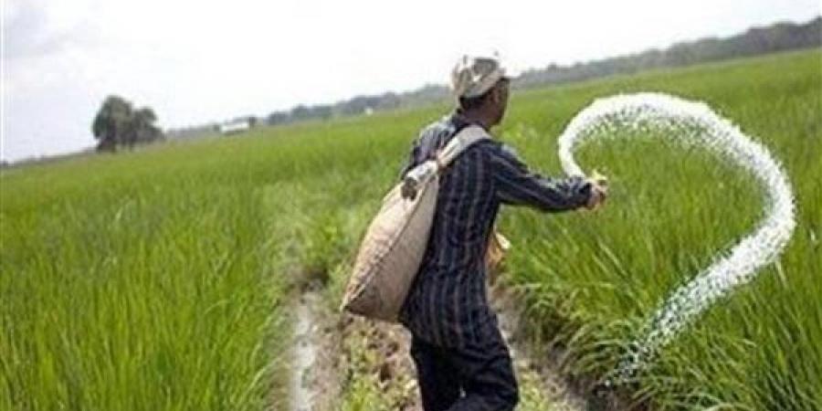نقيب الفلاحين: ارتفاع أسعار الأسمدة بالسوق الحر