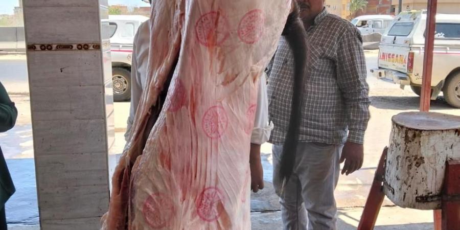 الزراعة: حملات رقابية موسعة بالمحافظات لمواجهة ذبح "البتلو" خارج المجازر