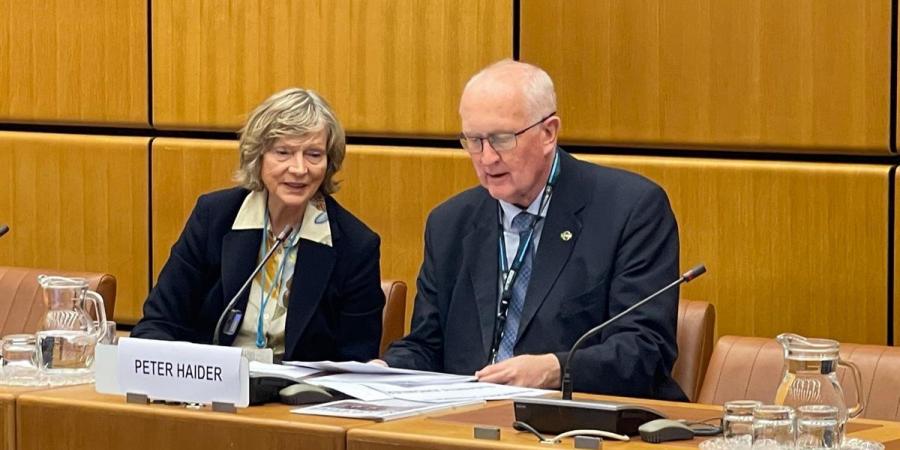 منتدى أممي في فيينا يناقش “التربية على السلام” بمشاركة مصرية فاعلة