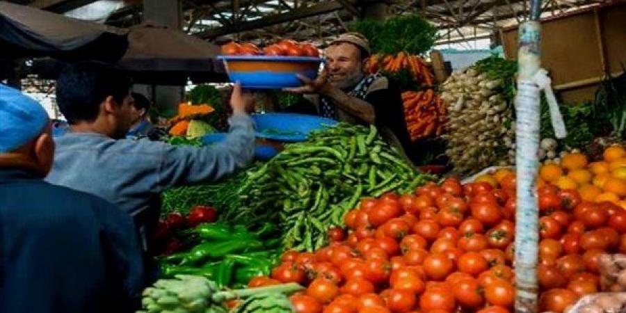 أبرزهم الطماطم.. ارتفاع أسعار الخضار اليوم الأحد 26 أبريل 2026