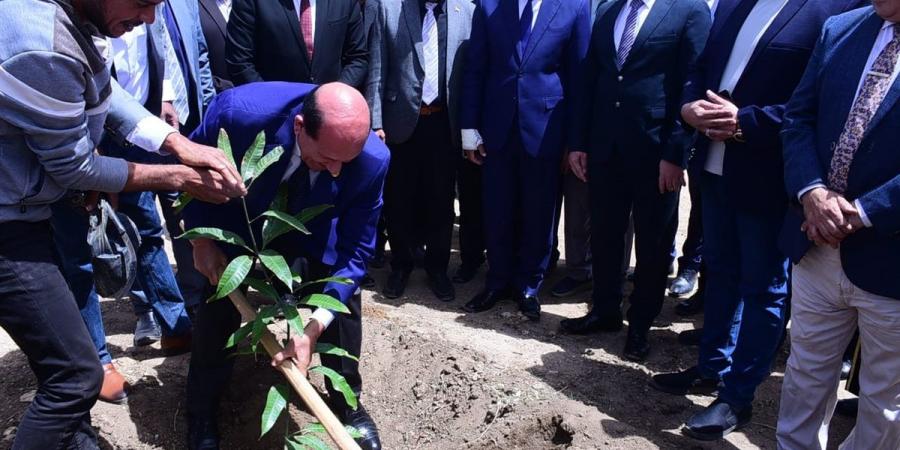 محافظ سوهاج ورئيس الجامعة وعدد من القيادات يشاركون في زراعة أشجار الزيتون
