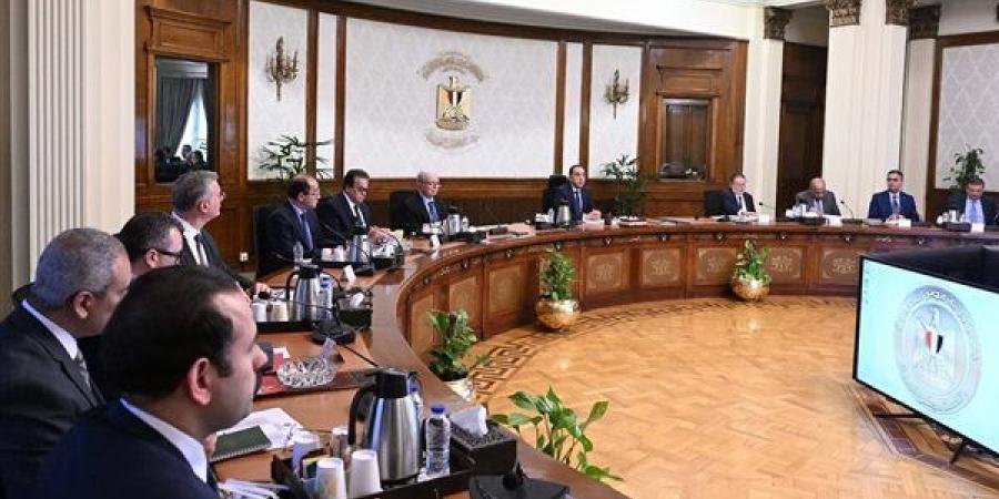 مدبولي يوجه بالإعلان عن مبادرة تحفيزية للمصانع والمنازل للتحول إلى الطاقة الشمسية