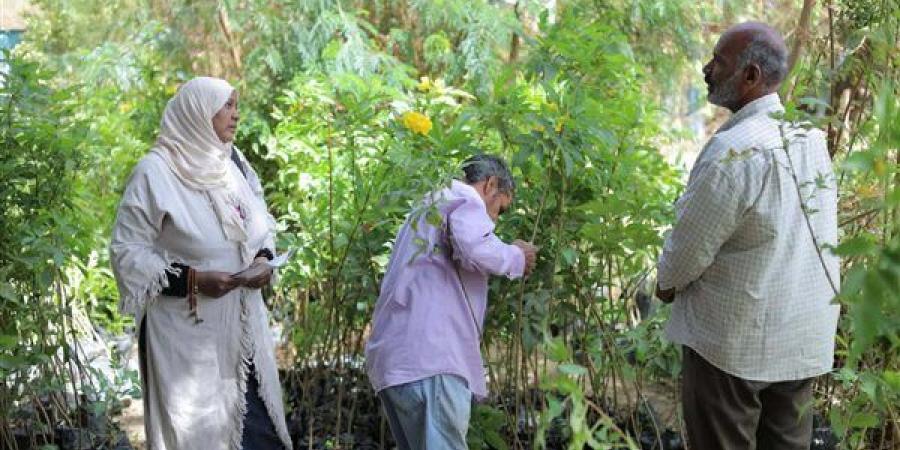 حصر وتكويد 4400 شجرة في قنا