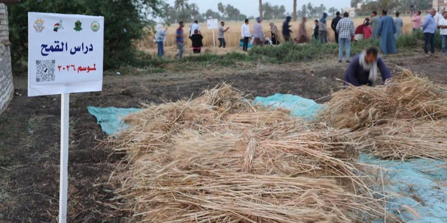 تكريم رواد الزراعة بالمنيا.. وزيادة 16 ألف فدان تعكس نجاح المنظومة