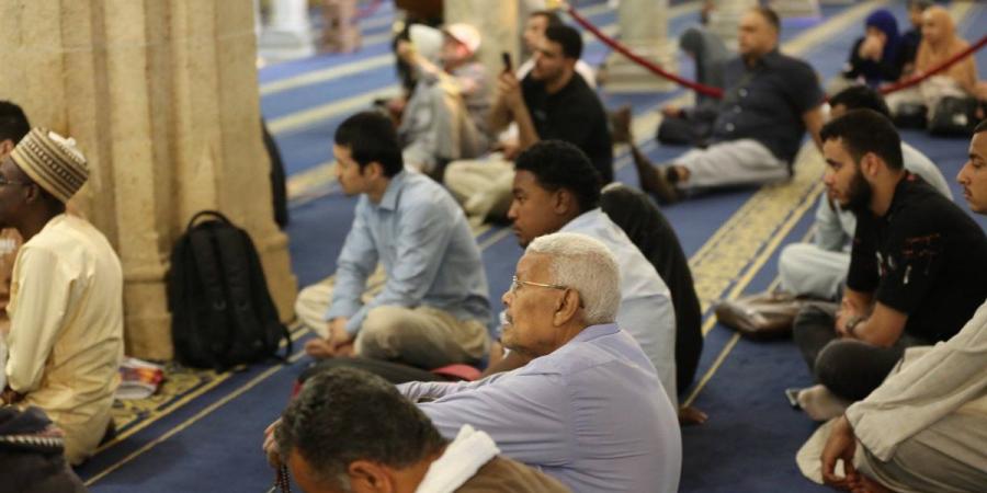 مظاهر الإعجاز في خلق الغراب.. ملتقى التفسير بالأزهر يكشف حكمة إلهية مدهشة