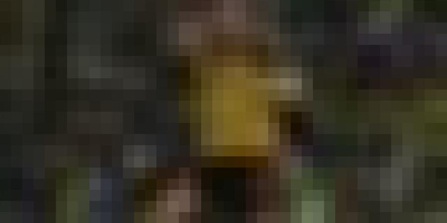 بهدف وصناعة.. بن سبعيني يقود دورتموند لاكتساح فرايبورغ برباعية في البوندسليغا