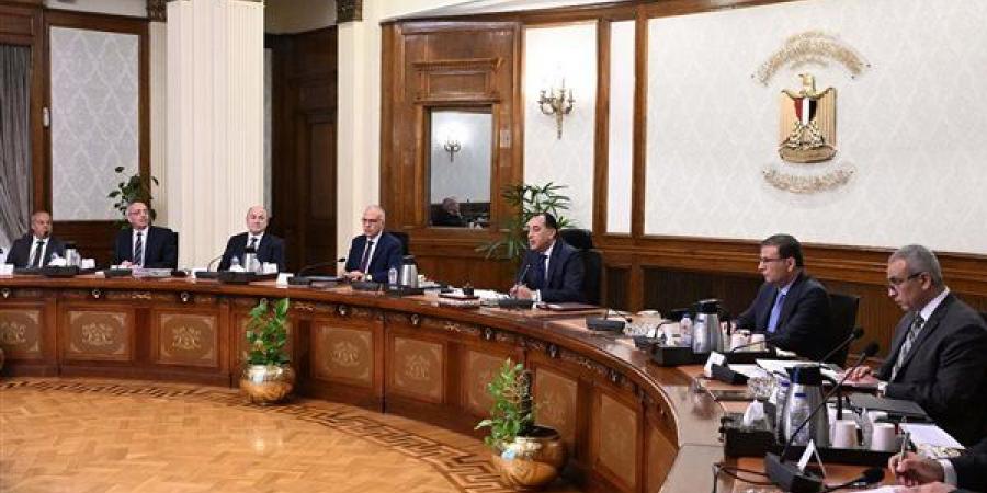 عاجل.. رئيس الوزراء يتابع الخطط التنفيذية لتنمية سيناء