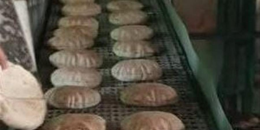 64 محضرًا تموينيًا متنوعًا لمخابز بلدية مخالفة بالبحيرة