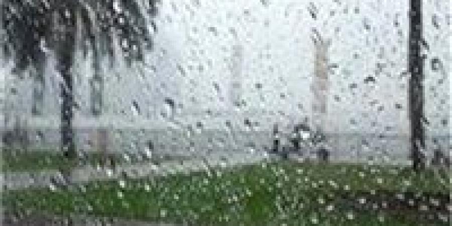 أمطار غزيرة ورياح مثيرة للأتربة.. الأرصاد تحذر من تقلبات مفاجئة في طقس الإثنين