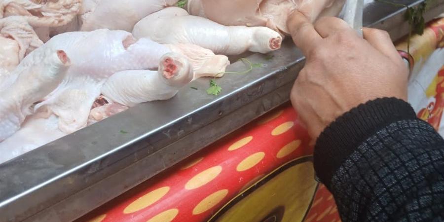 أسعار الدواجن والطيور بأسواق بورسعيد اليوم الاثنين 27 أبريل