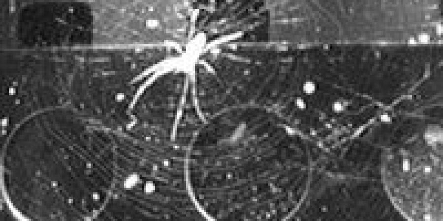 عودة «عنكبوت الفضاء».. الصين تعيد إحياء حلم ناسا لبناء منشآت عملاقة بالمدار