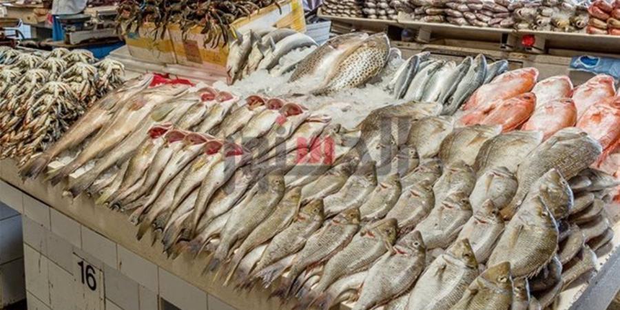 أسعار الأسماك والمأكولات البحرية بأسواق بورسعيد اليوم الاثنين 27 أبريل