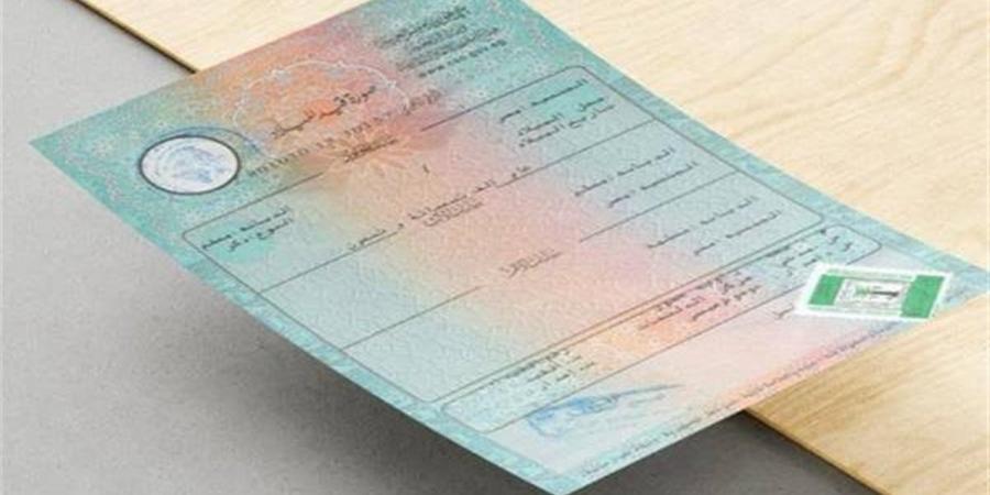 كيفية استخراج شهادة ميلاد مميكنة 2026