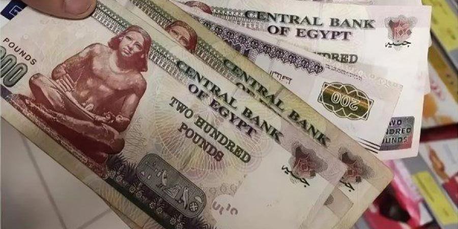 كيف تنظم الدولة صرف معاشات 11.5 مليون مواطن؟