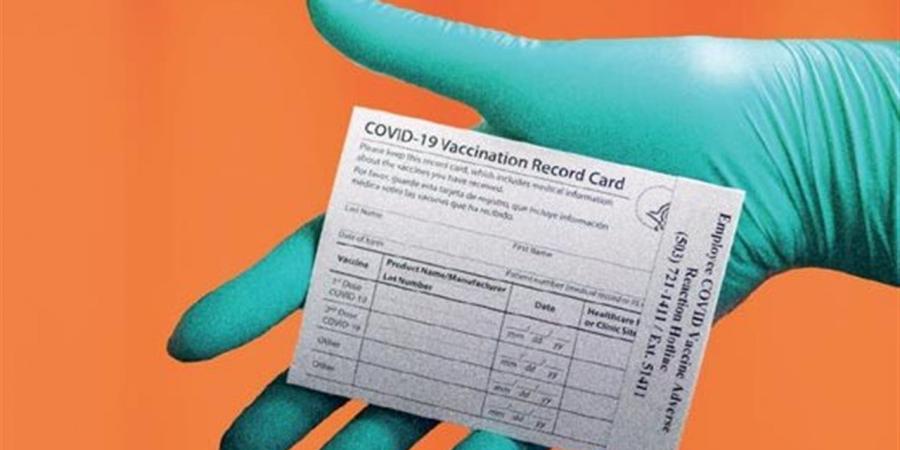 ما عقوبة التزوير في البطاقات الرسمية في مصر؟.. نصوص القانون