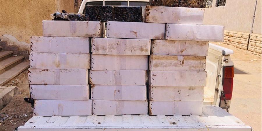ضبط 160 كيلو بلح مجهول المصدر في الفيوم