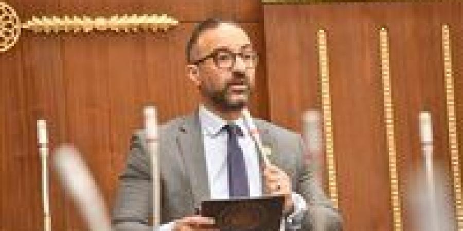 دعما لاستقرار الاسرة.. استجابة حكومية لمقترح الحمامصي.. “الرؤية الإلكترونية” ضمن قانون الأسرة الجديد