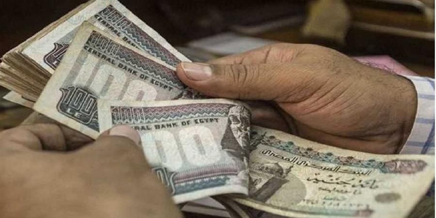 نائب بالشيوخ: تعديلات "قانون المعاشات" لتعزيز الحماية الاجتماعية