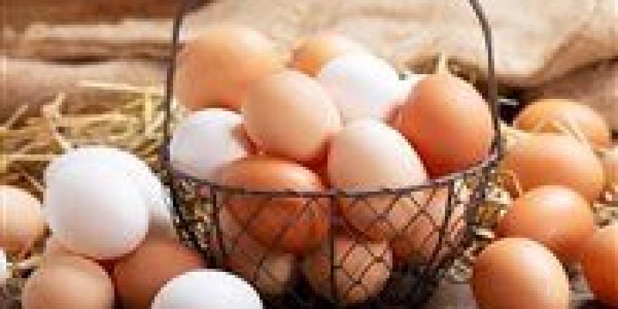 كيف يؤثر تناول البيض يوميًا على الأعصاب؟