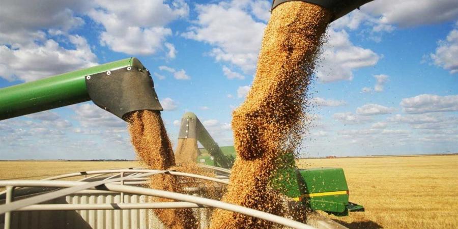 ضبط آلة الحصاد المستخدمة فى واقعة سرقة القمح بالشرقية