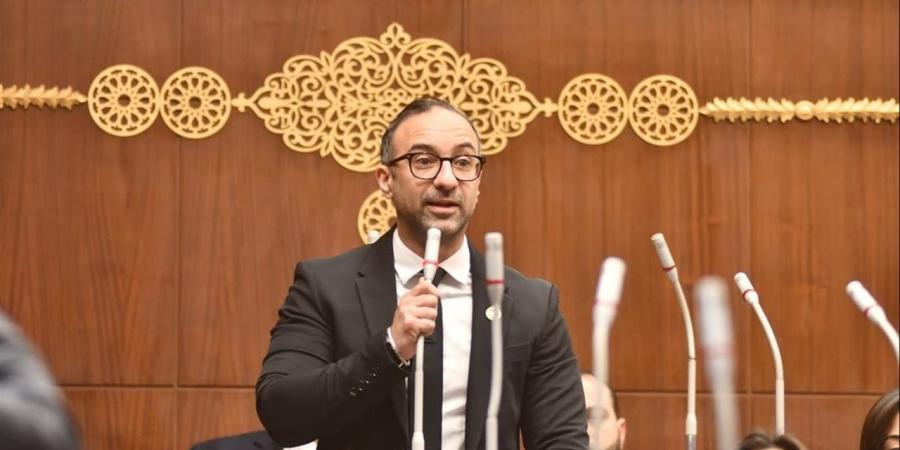 دعما لاستقرار الأسرة.. استجابة حكومية لمقترح الحمامصي “الرؤية الإلكترونية” ضمن قانون الأسرة الجديد