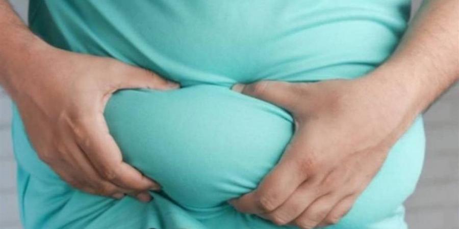 اكتشاف "ذاكرة" جزيئية طويلة الأمد للسمنة في الخلايا المناعية