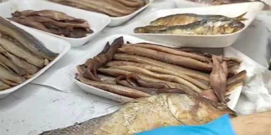 أسعار الفسيخ والرنجة والأسماك المملحة في أسواق الغربية اليوم
